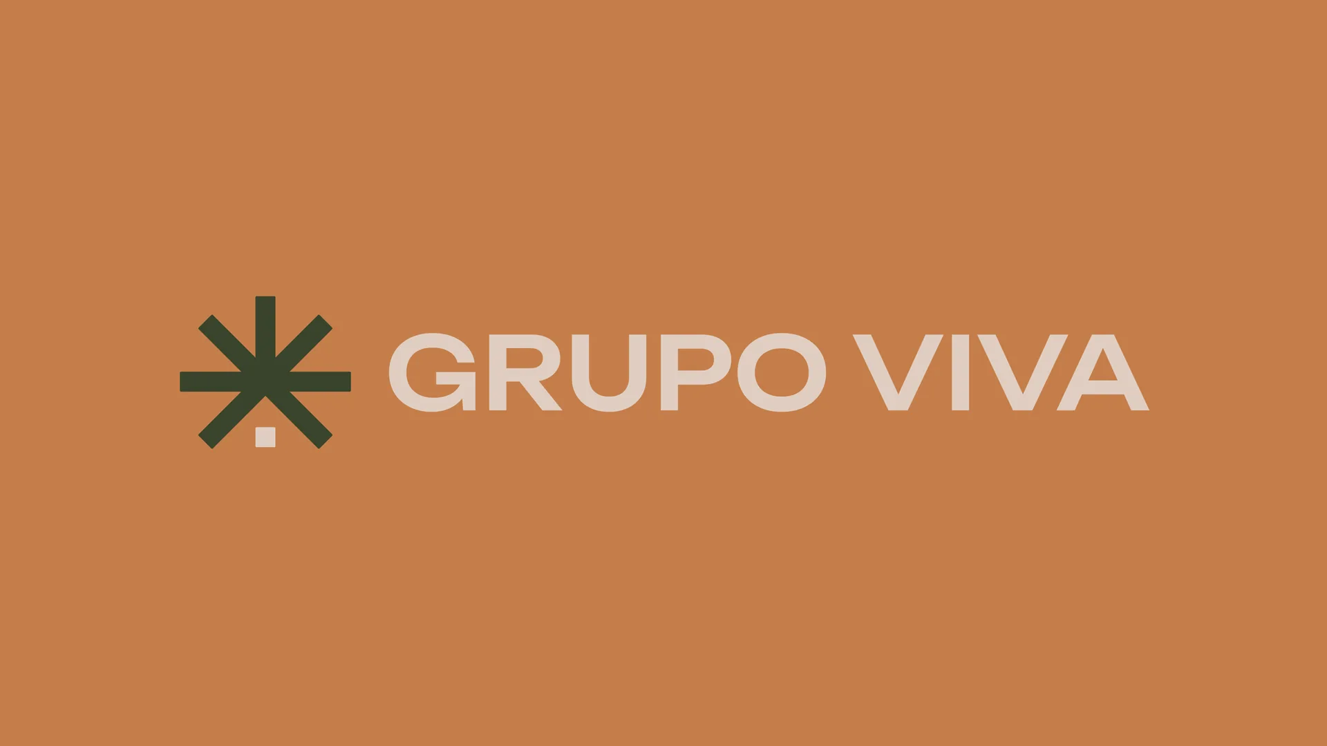 Grupo Viva (3)